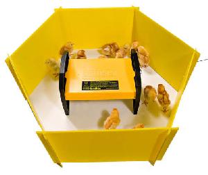 Chick Enclosure Panels Set of 8