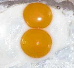 Double Yolked Egg