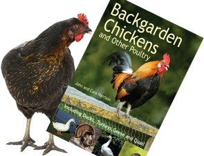 Backgarden Chickens Poultry Book