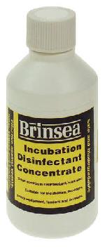 Incubation Disinfectant Concentrate 100ml