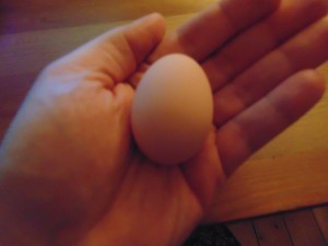 Bantam Egg