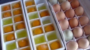Storing eggs in ice cube trays.