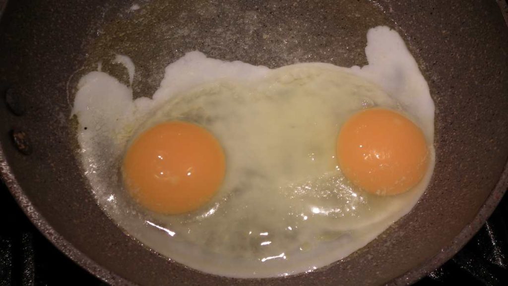 Double Yolk Egg