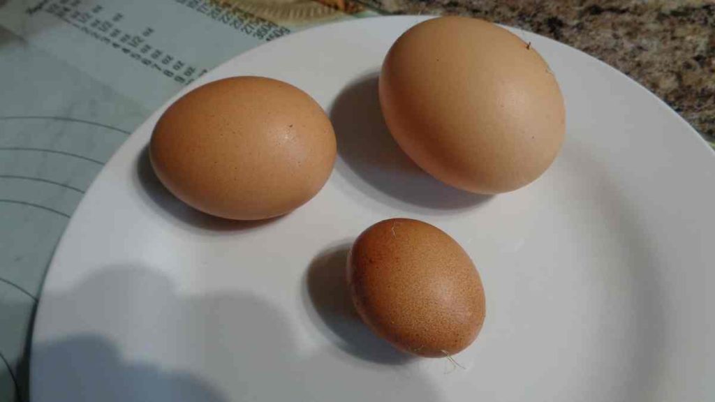 3 Eggs