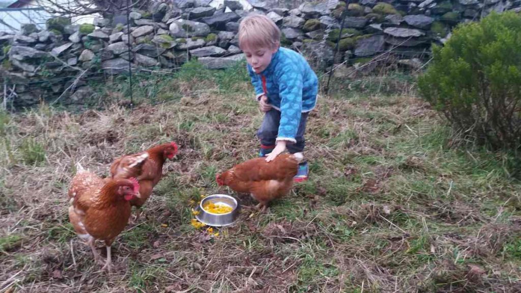 Child and Chickens