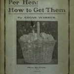 200 Eggs a Year Per Hen: How to Get Them
