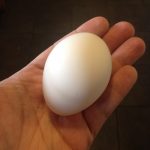 White egg in a hand