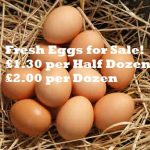 Marketing Your Surplus Eggs - How to Sell Your Eggs