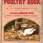 The Poultry Book 1867