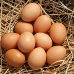 Problems With Eggs - Yolks & Whites