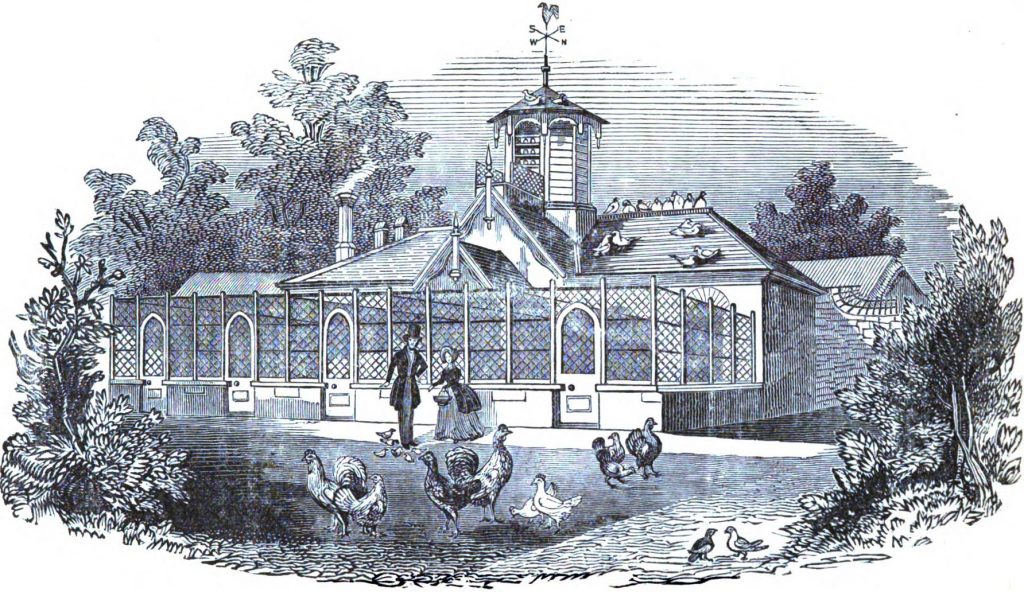 Queen Victoria's Poultry House from Nolan