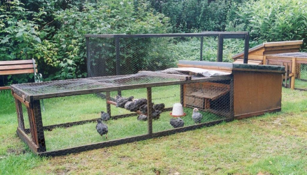 Home Made Poultry House