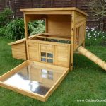 Poultry Housing - Chicken Coops Checklist
