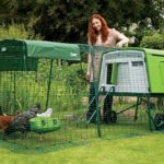 The Omlet Eglu Cube Review – Plastic Chicken Coop for 10 Chickens