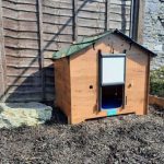The Easicoop ECO Chicken Coop from Chartley Chucks - Full Review